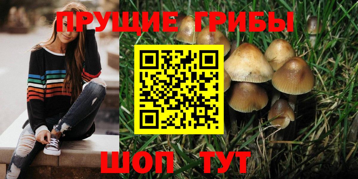Псилоцибиновые грибы Magic Shrooms  Вход с VPN  Добрянка 